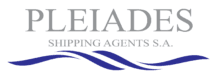 Pleiades company logo - Muunstone Group strategic partner