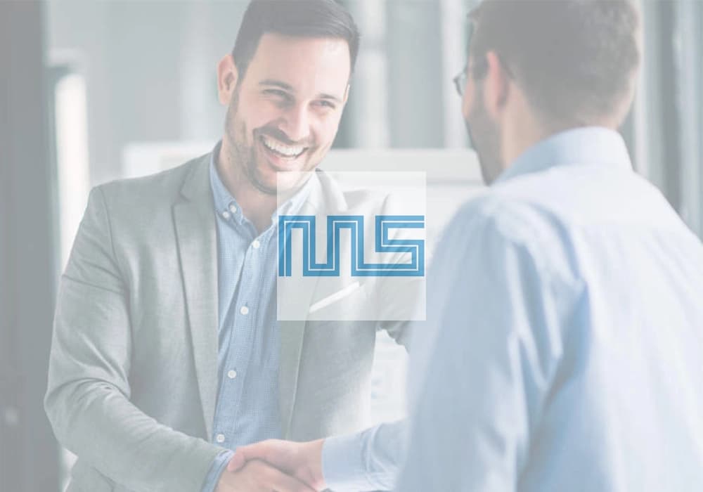 Business Alliance & Partnerships - MUUNSTONE CONSULTING LLC services illustration